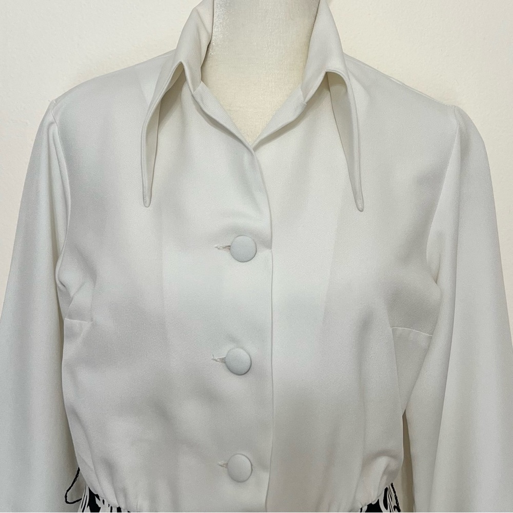 Lanvin 70s Vintage Dagger Collar Shirtdress Dress - Picture 4 of 9